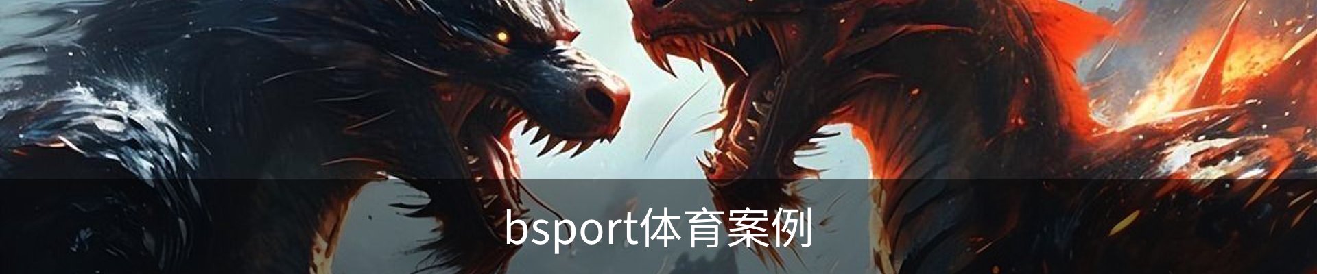 bsport体育案例