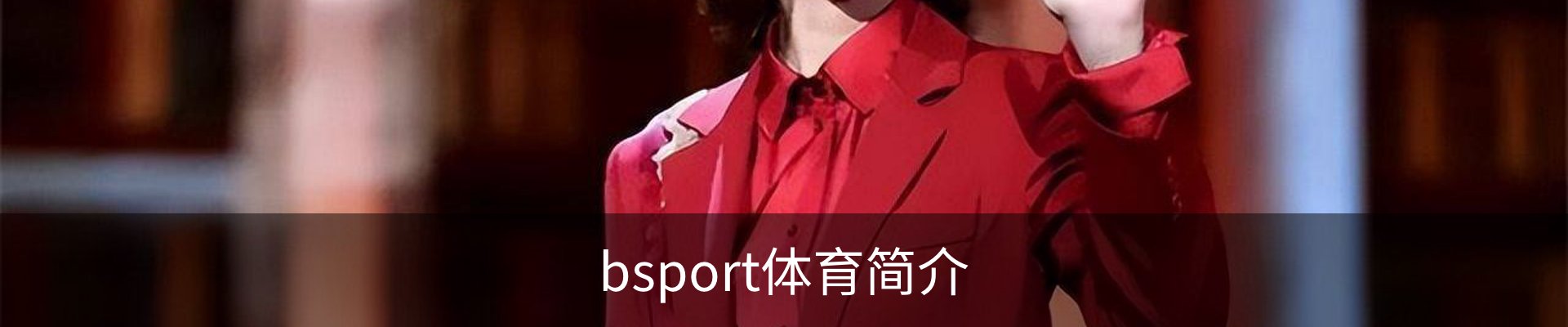 bsport体育简介